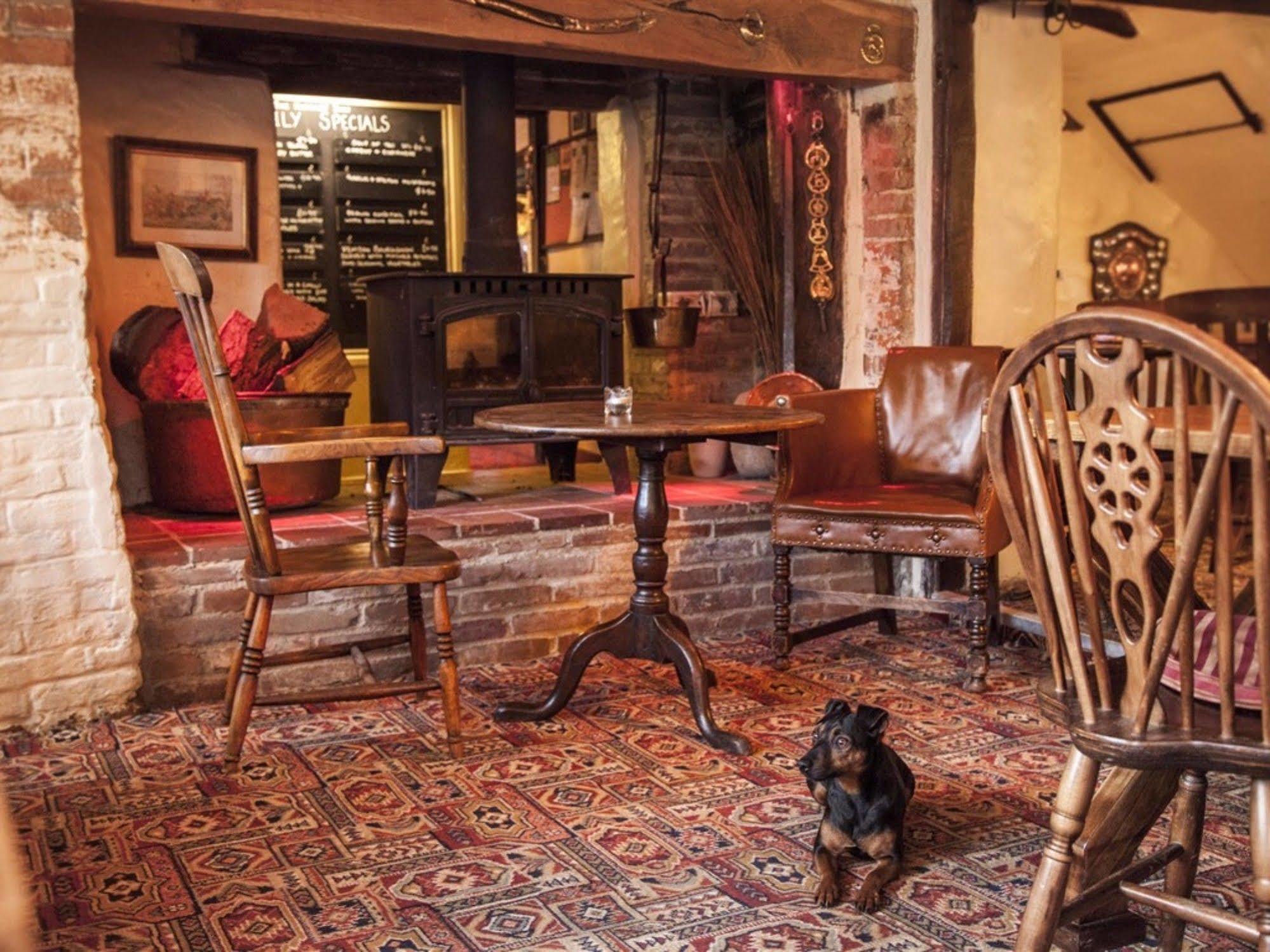 The Hatchet Inn Chute المظهر الخارجي الصورة
